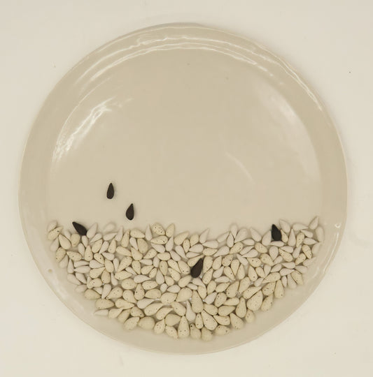 A top-down view of a round ceramic plate with a shallow depression at the bottom containing many small off-white teardrop-shaped seeds, with a few darker black seeds placed above them on a plain white background.